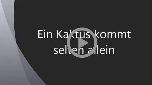 Ein Kaktus kommt selten allein